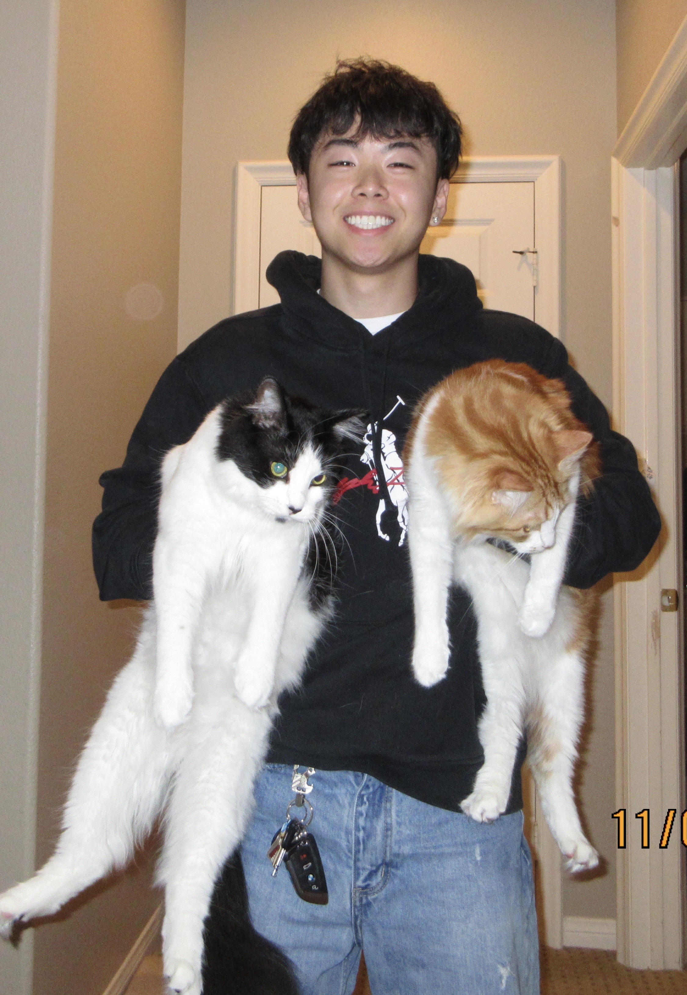 Shawn Liu with cats Coconut and Kumquat